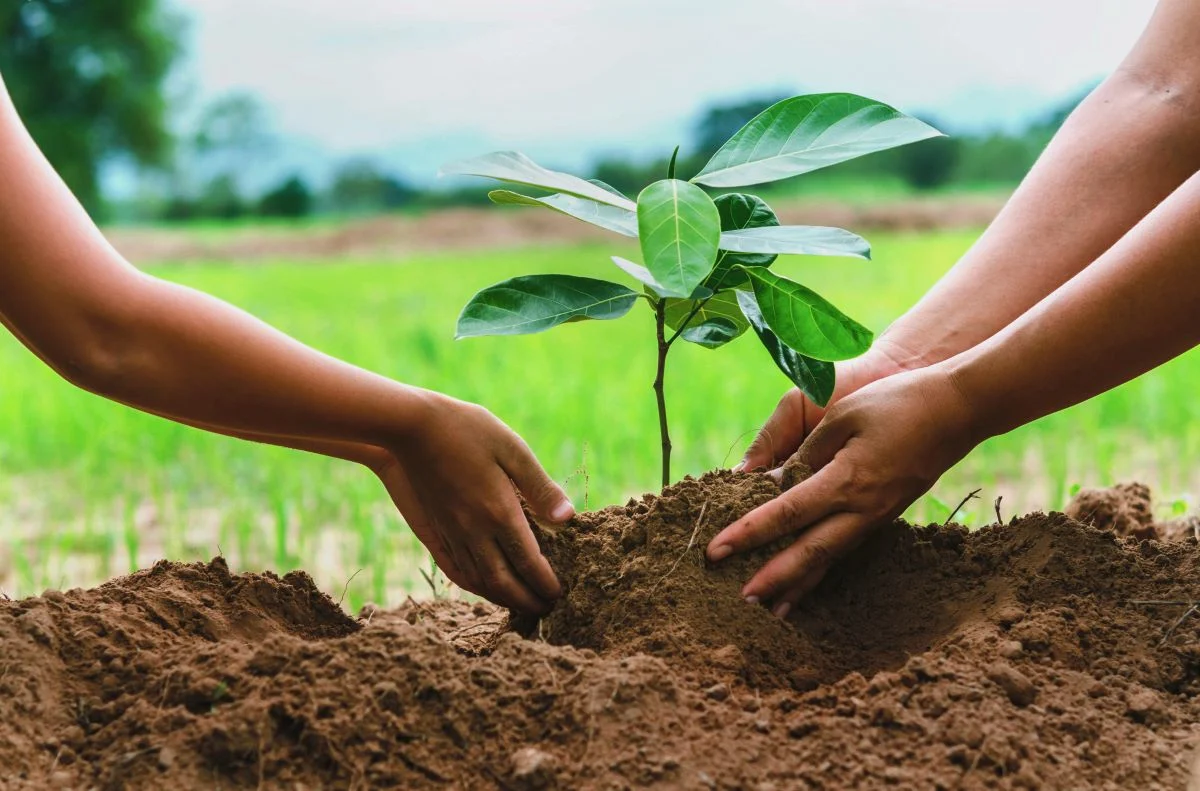 Move for Life. Plant for the Future.